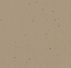 Forbo Sphera Energetic 50209 nutmeg фото 1 | FLOORDEALER